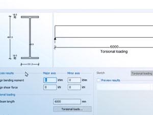 Steel beam torsion design