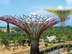 Gardens by the Bay