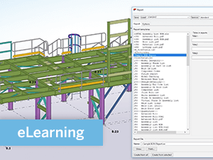 Tekla Structures - Online Advanced Training - Template Editor